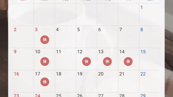 【11月の営業日カレンダー📅】